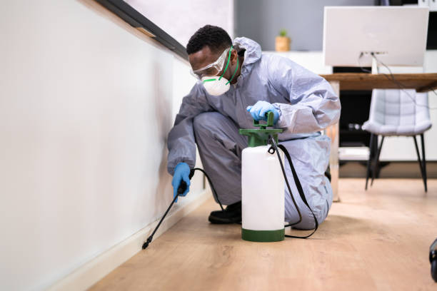 Best Commercial Pest Control  in Laguna Niguel, CA